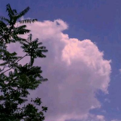 特斯拉公布